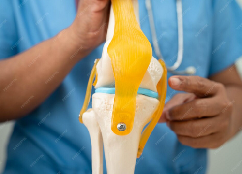 Best joint Replacement surgeon in Goregaon